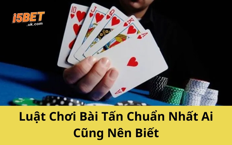 Chơi Bài Tấn Không Khó – Chỉ Cần Làm Đúng Cách Này Luật Chơi Bài Tấn Chuẩn Nhất Ai Cũng Nên Biết
