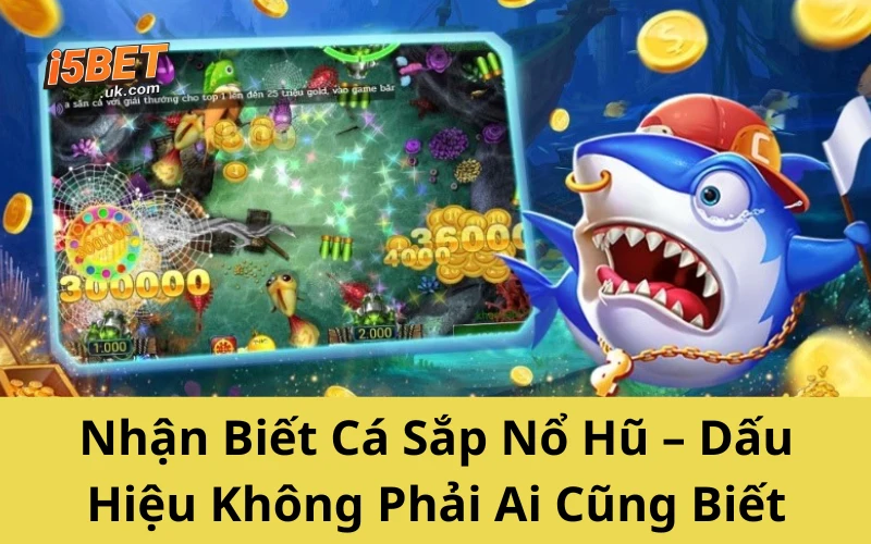 Bí Kíp Chơi Cá Nổ Hũ Của Cao Thủ – Không Thể Bỏ Qua Nhận Biết Cá Sắp Nổ Hũ – Dấu Hiệu Không Phải Ai Cũng Biết
