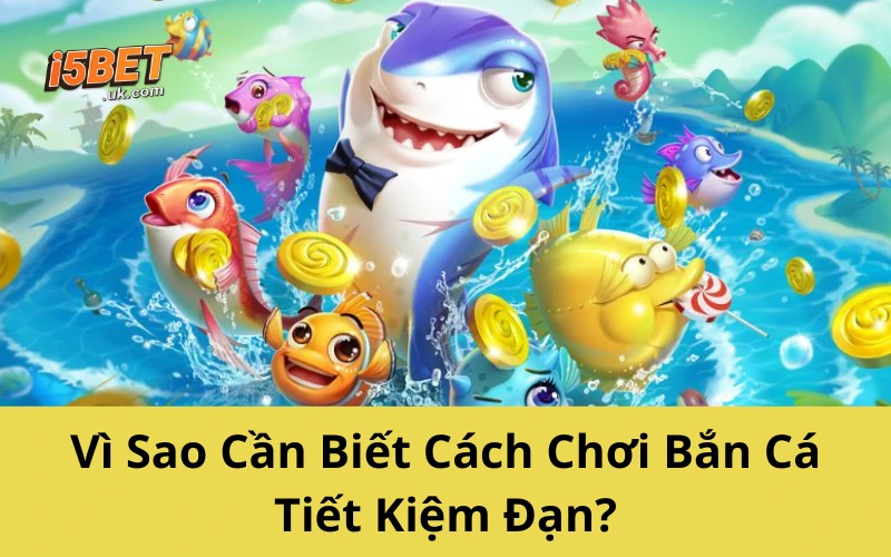 Cách Chơi Bắn Cá Tiết Kiệm Đạn, Xu Về Đầy Túi Vì Sao Cần Biết Cách Chơi Bắn Cá Tiết Kiệm Đạn?