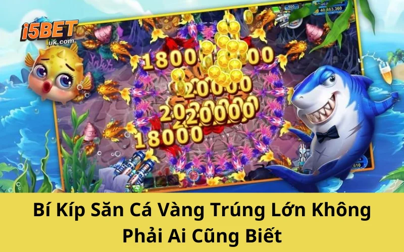 Bắn Cá Vàng – Bí Kíp Săn Thưởng Cực Nhanh Từ Cao Thủ Bí Kíp Săn Cá Vàng Trúng Lớn Không Phải Ai Cũng Biết