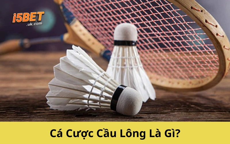 Cá Cược Cầu Lông: Hướng Dẫn Chơi Hiệu Quả Từ A-Z Cá Cược Cầu Lông Là Gì?