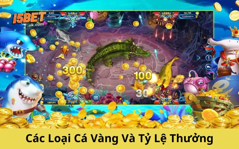 Bắn Cá Vàng – Bí Kíp Săn Thưởng Cực Nhanh Từ Cao Thủ Các Loại Cá Vàng Và Tỷ Lệ Thưởng