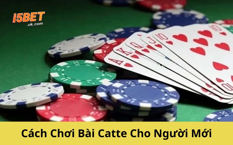 Bài Catte: Hướng Dẫn Chơi, Luật Và Chiến Thuật Chi Tiết Cách Chơi Bài Catte Cho Người Mới