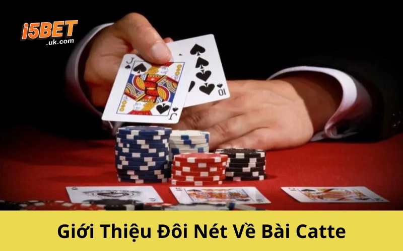 Bài Catte: Hướng Dẫn Chơi, Luật Và Chiến Thuật Chi Tiết Giới Thiệu Đôi Nét Về Bài Catte