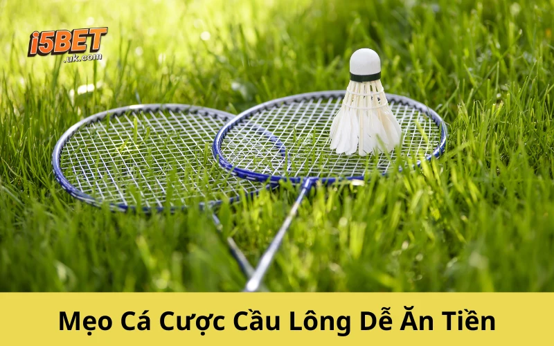 Cá Cược Cầu Lông: Hướng Dẫn Chơi Hiệu Quả Từ A-Z Mẹo Cá Cược Cầu Lông Dễ Ăn Tiền