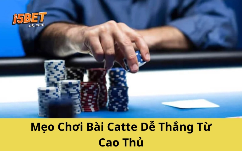 Bài Catte: Hướng Dẫn Chơi, Luật Và Chiến Thuật Chi Tiết Mẹo Chơi Bài Catte Dễ Thắng Từ Cao Thủ