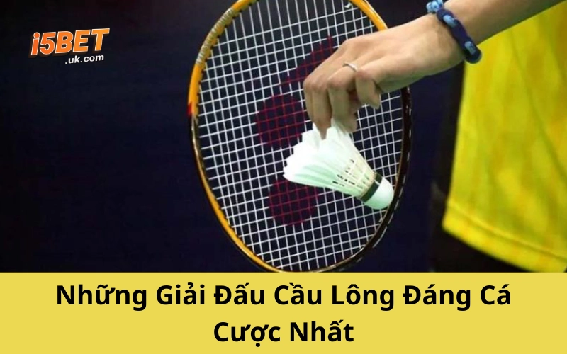 Cá Cược Cầu Lông: Hướng Dẫn Chơi Hiệu Quả Từ A-Z Những Giải Đấu Cầu Lông Đáng Cá Cược Nhất