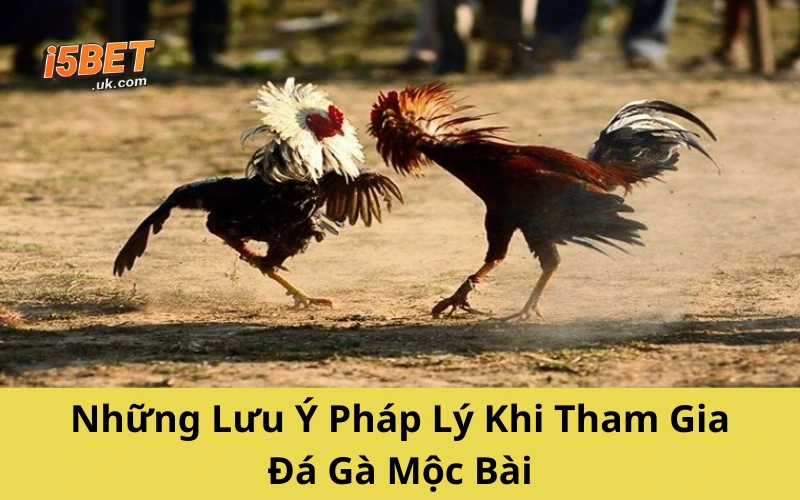 Đá Gà Mộc Bài – Thế Giới Gà Chiến Sát Phạt Ngoại Biên Những Lưu Ý Pháp Lý Khi Tham Gia Đá Gà Mộc Bài