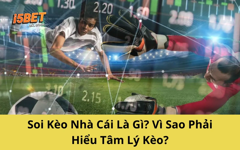 Soi Kèo Nhà Cái: Trò Đánh Tâm Lý Của Dân Cá Độ Lâu Năm Soi Kèo Nhà Cái Là Gì? Vì Sao Phải Hiểu Tâm Lý Kèo