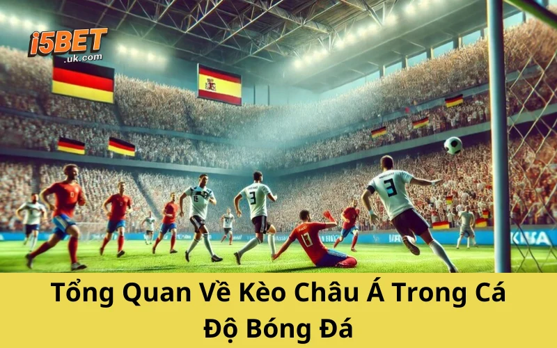 Kèo Châu Á Là Gì? Hướng Dẫn Cách Đọc Và Bắt Chuẩn Tổng Quan Về Kèo Châu Á Trong Cá Độ Bóng Đá